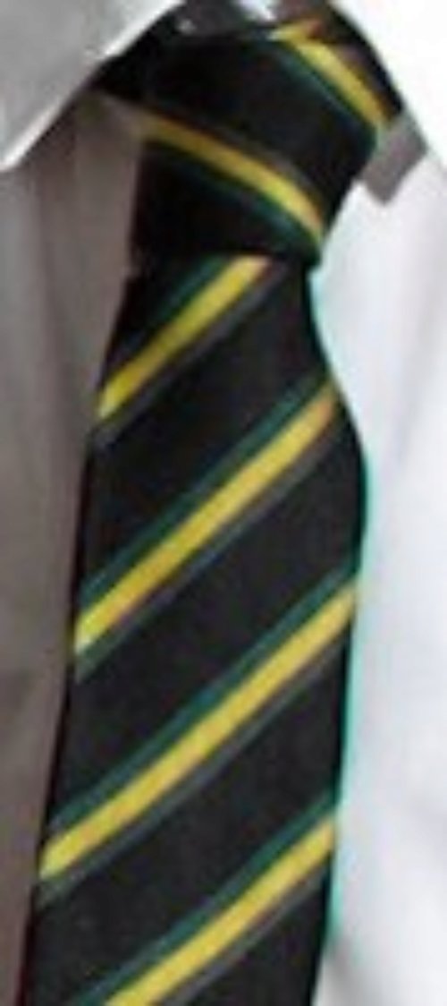 Caistor Yarborough - Tie - Gold (Norman)