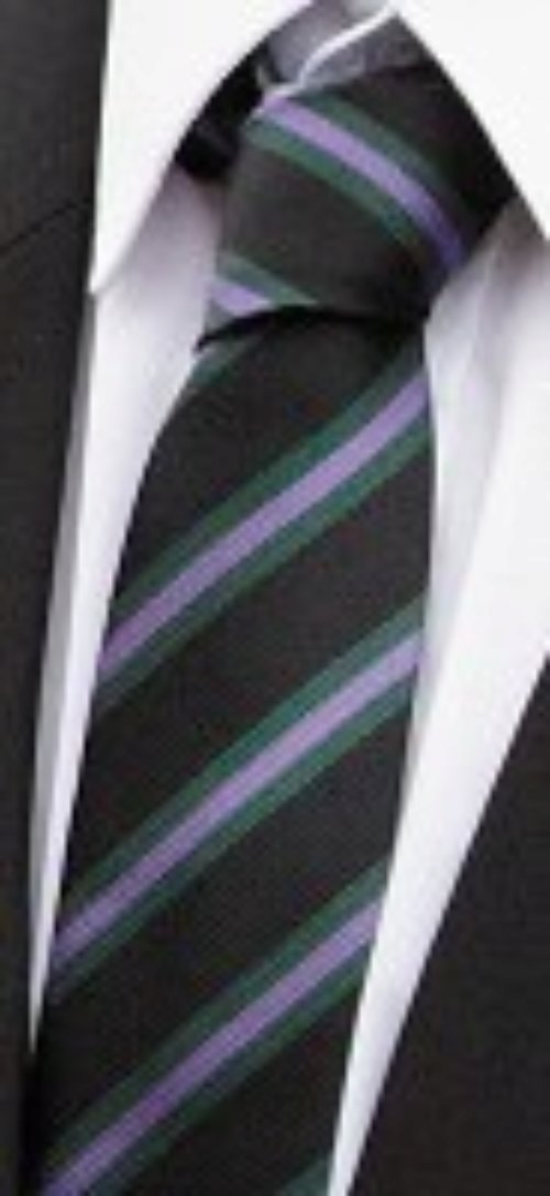 Caistor Yarborough - Tie - Purple (Viking)
