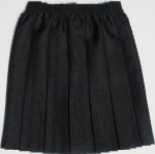 Black Box Pleat Skirt