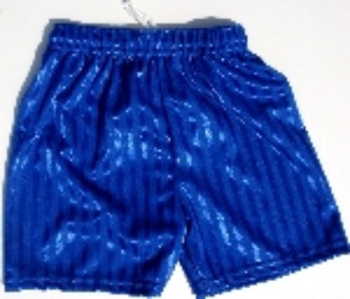 Royal Blue (School) Sport Shorts