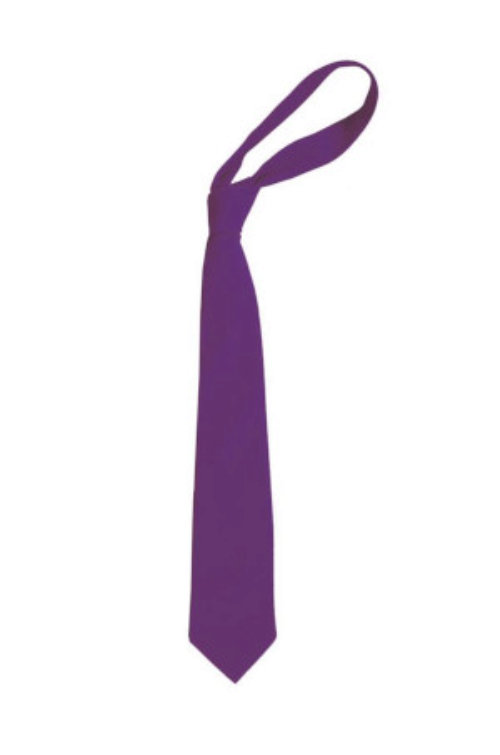 The Rushmere Park Academy - Elastic Tie