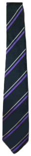 The Priory Academy LSST - Y8-11 26/27 - Long Tie