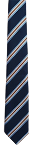 The Priory Ruskin  Academy -  School TIE