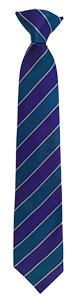 Magnus C of E Academy - TIE