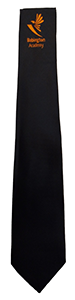 Babington Academy - ORANGE - Long Tie