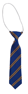 Billesdon C of E Primary School - Tie