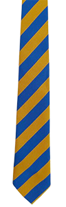 Saint Mary's RC Primary Academy - Royal/Gold - Long Tie