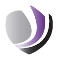 Queensmead Primary Academy SWEATSHIRT (Purple)