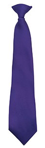 Oasis Academy Wintringham - Clip - Purple Tie