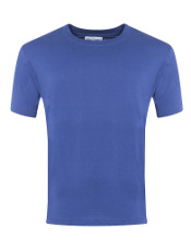 Plain Royal Blue T-Shirt