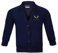 St Andrew's Academy - Cardigan