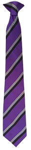 Sutton Community Academy - Tie