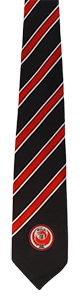 The City of Leicester College - TIE