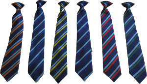 William Farr School - Tie
